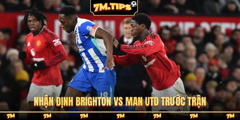 Nhận định Brighton vs Man Utd trước trận